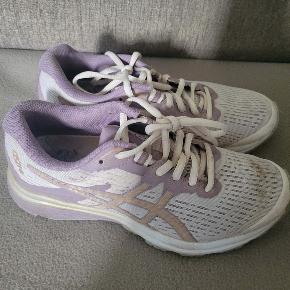 ASICS Zappos 20th x GT-1000 8